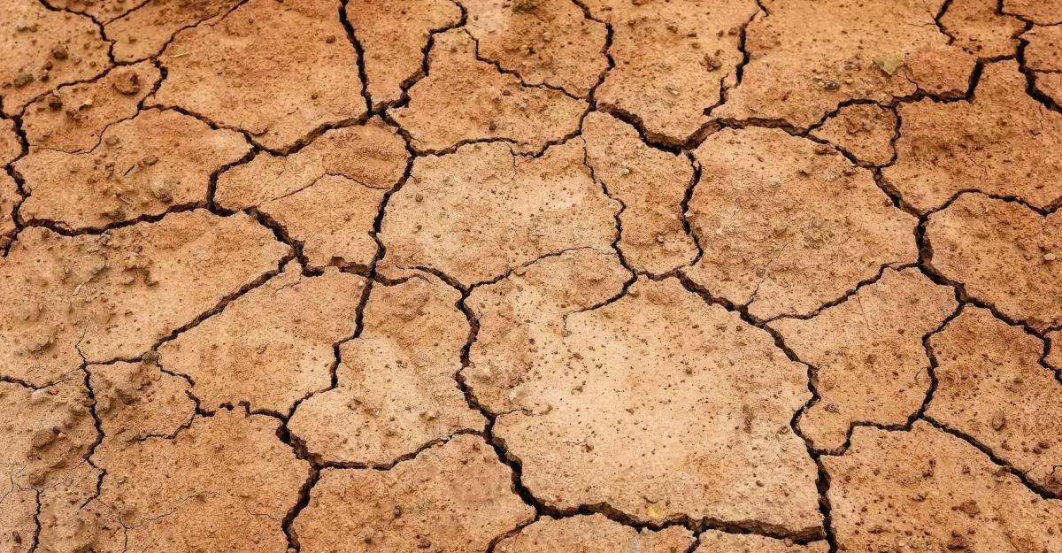 Agriculteurs en colère : la lutte pour survivre face à la sécheresse