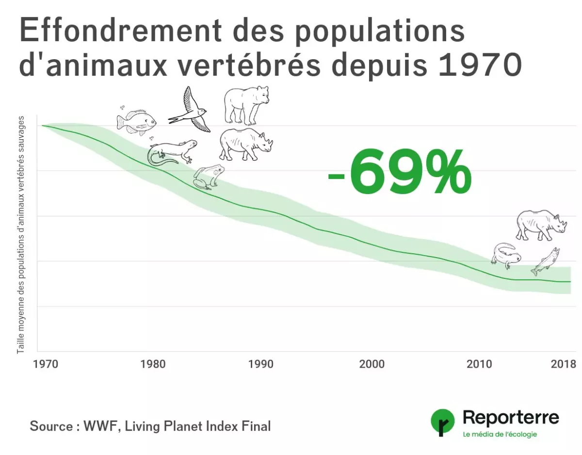 Alerte à l'effondrement de la biodiversité : une menace existentielle pour nos sociétés