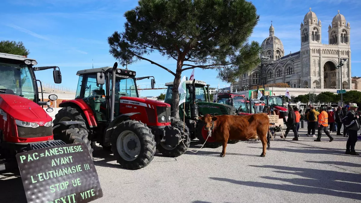 Colère des agriculteurs : les manifestations reprennent