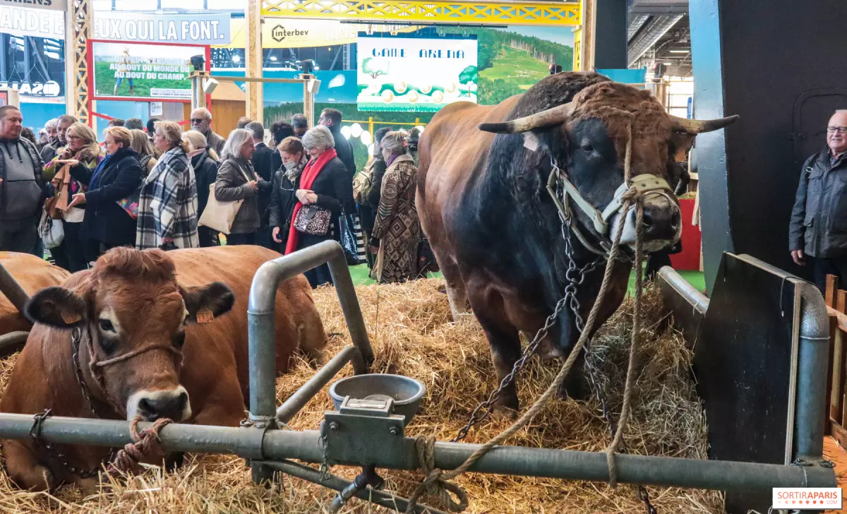 Découvrez la plus grande ferme de France au Salon de l'Agriculture