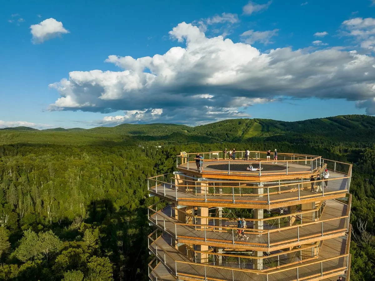 Découvrez un sentier unique dans les nuages de la forêt