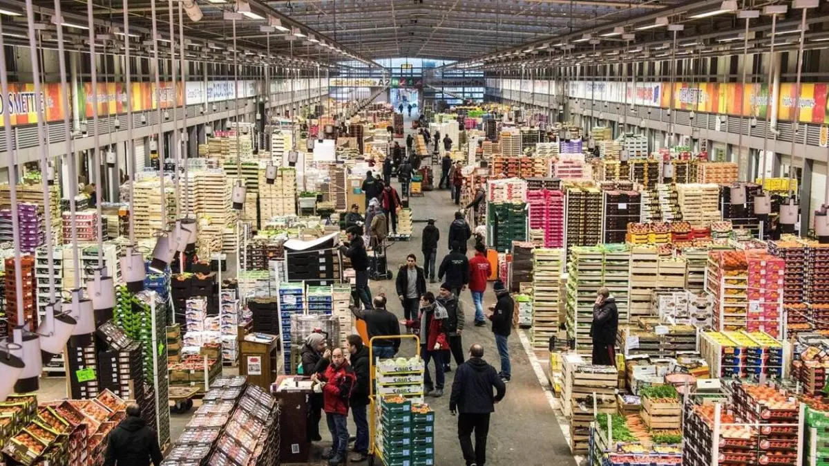 Des agriculteurs pénètrent dans le marché de Rungis: 79 gardes à vue