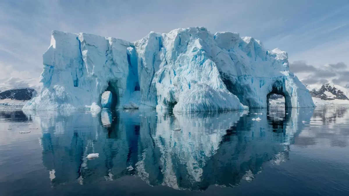 Des scientifiques dévoilent une jungle secrète en Antarctique