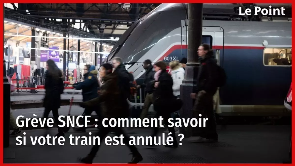 Grève SNCF : quel impact financier pour la compagnie ferroviaire ?