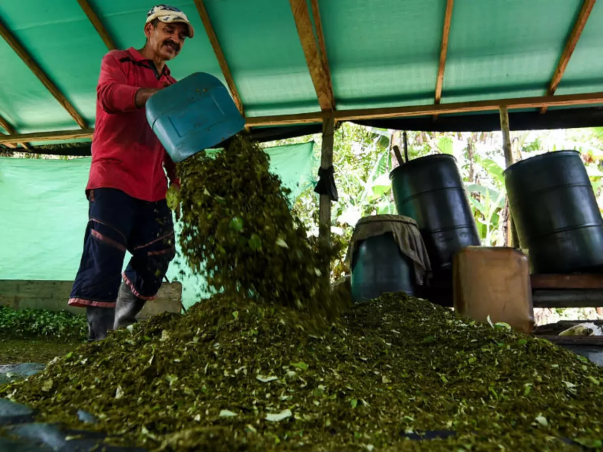 La production de cocaïne en Colombie et ses conséquences