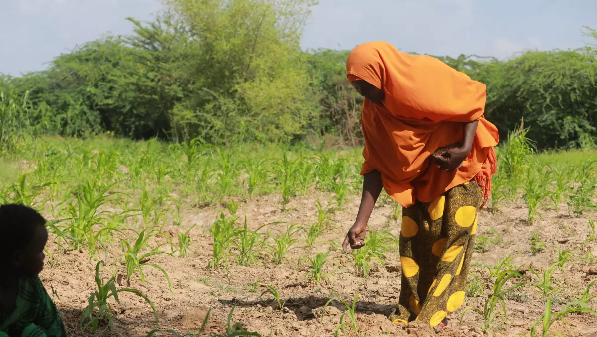 Les agriculteurs en détresse : un cri de désespoir face à la crise agricole