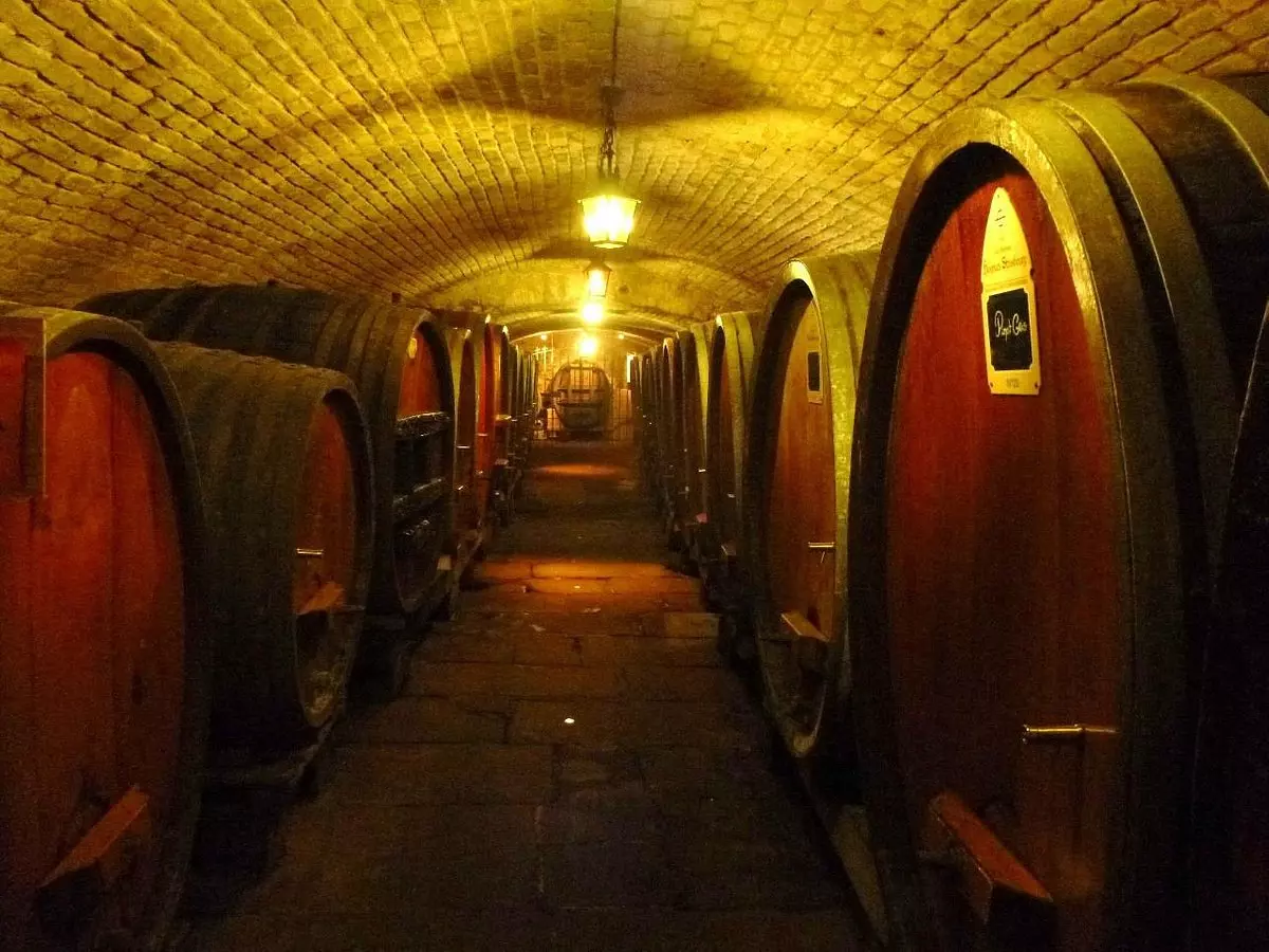 Les caves historiques de l'hôpital de Strasbourg : quand le vin était considéré comme un médicament