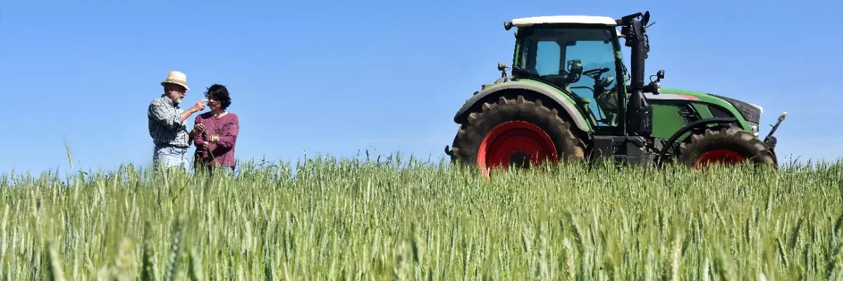 Les coulisses de l'agriculture intensive en Espagne