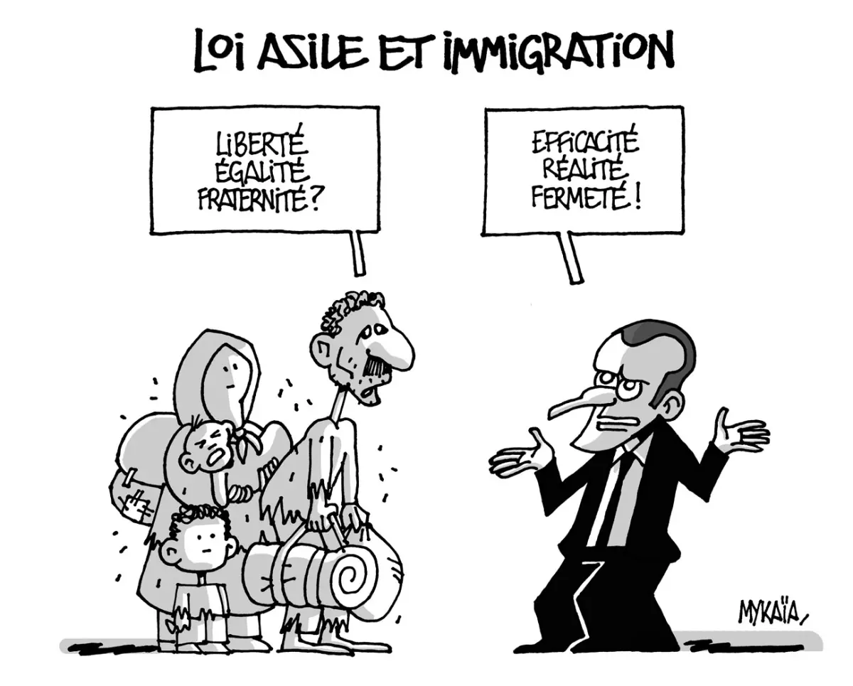 Loi sur l'asile et l'immigration : un texte controversé qui divise les Français