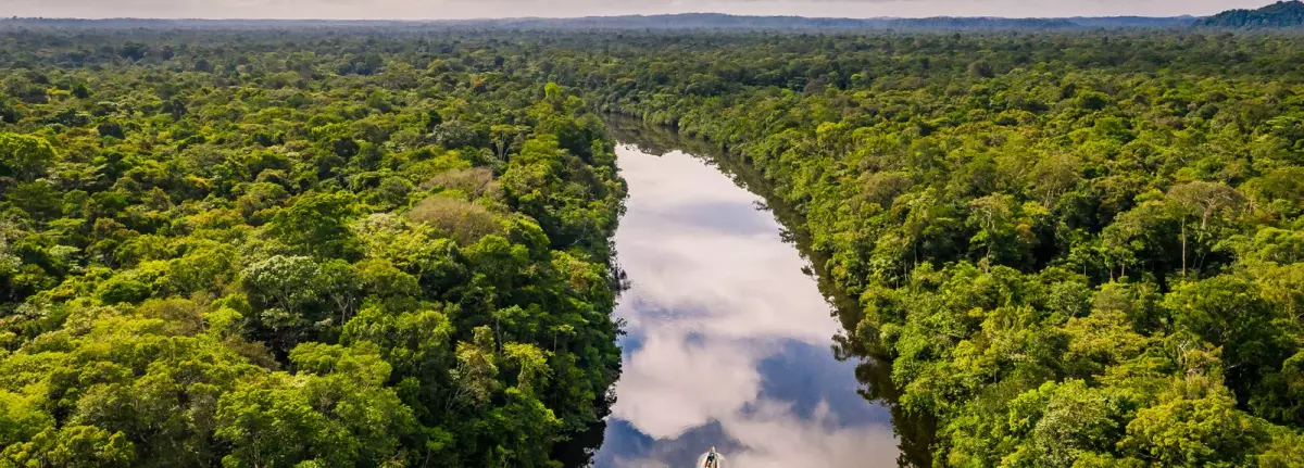 Reportage en Guyane : entraînement en forêt équatoriale et visite du centre spatial