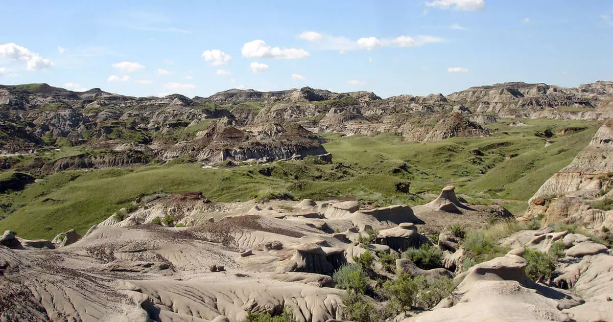 Sur la piste des dinosaures : un site exceptionnel découvert en France