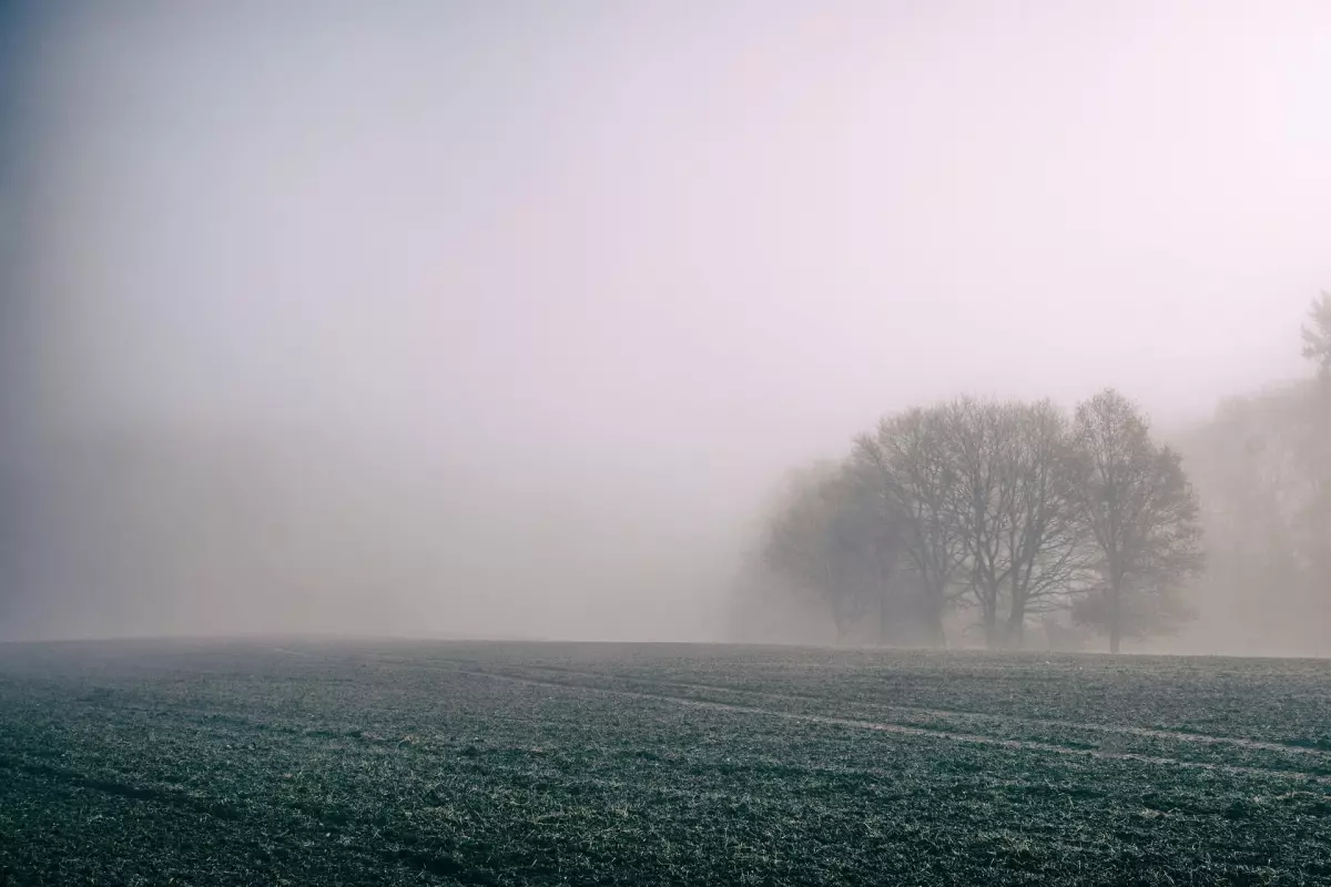 Un épais brouillard recouvre Boston, des images impressionnantes