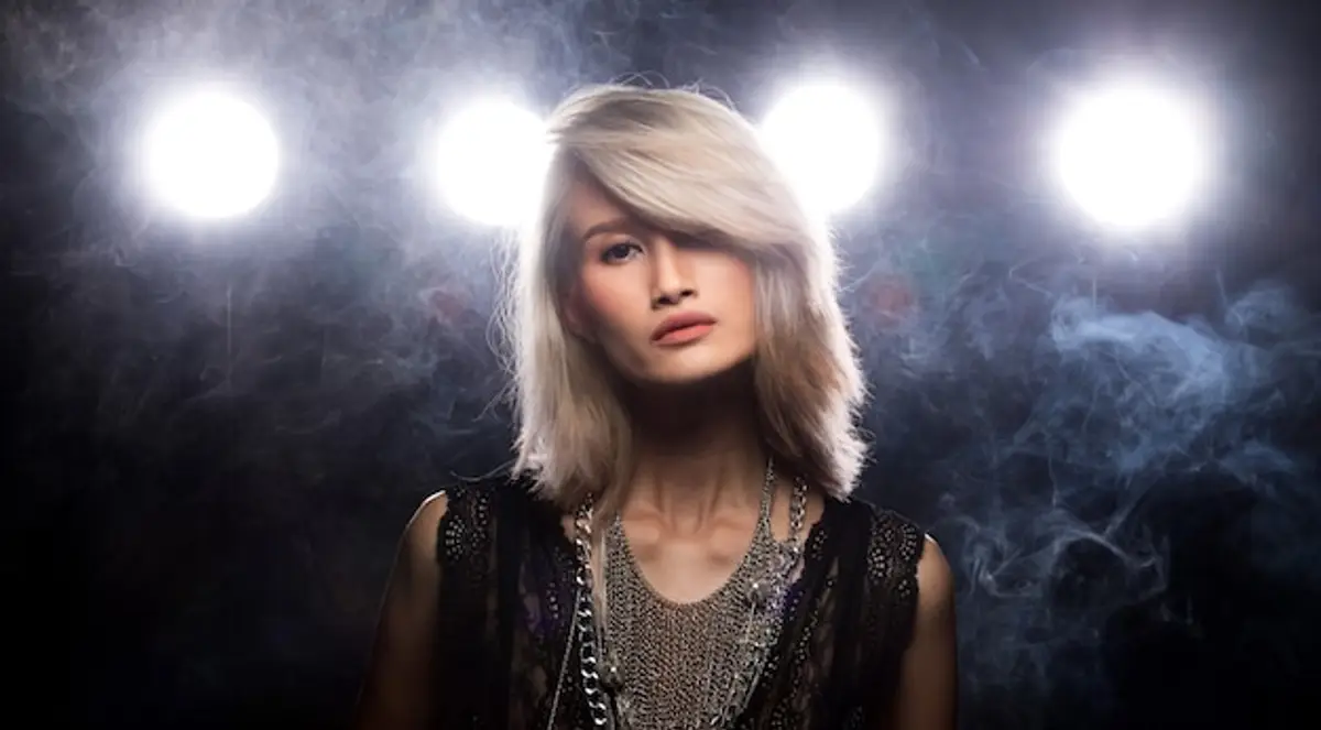 Céline Dion concert scène