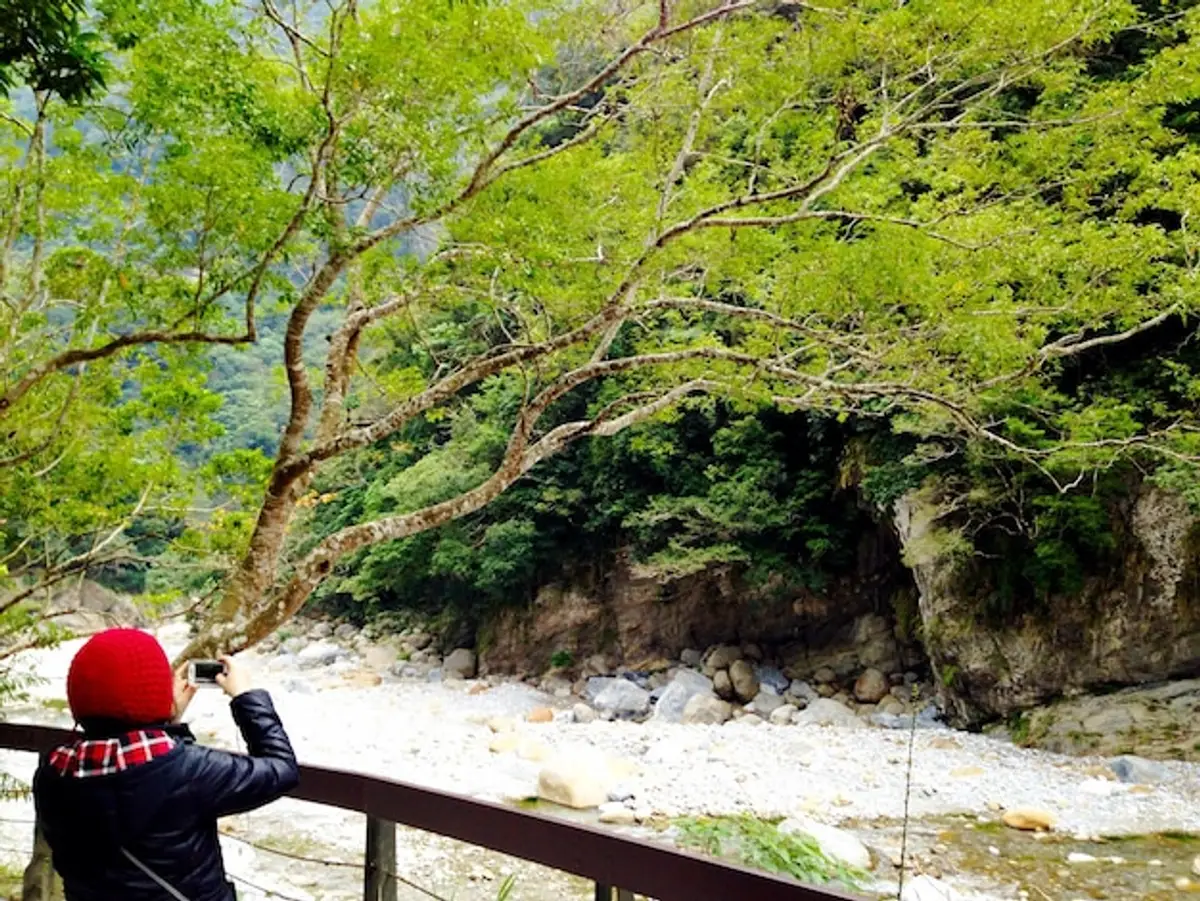 Tiphaine Véron Nikko Japon disparition 2018