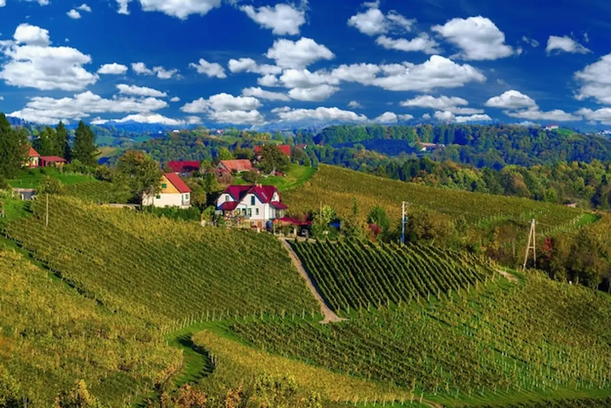 Alsace paysage vignobles Vosges Strasbourg