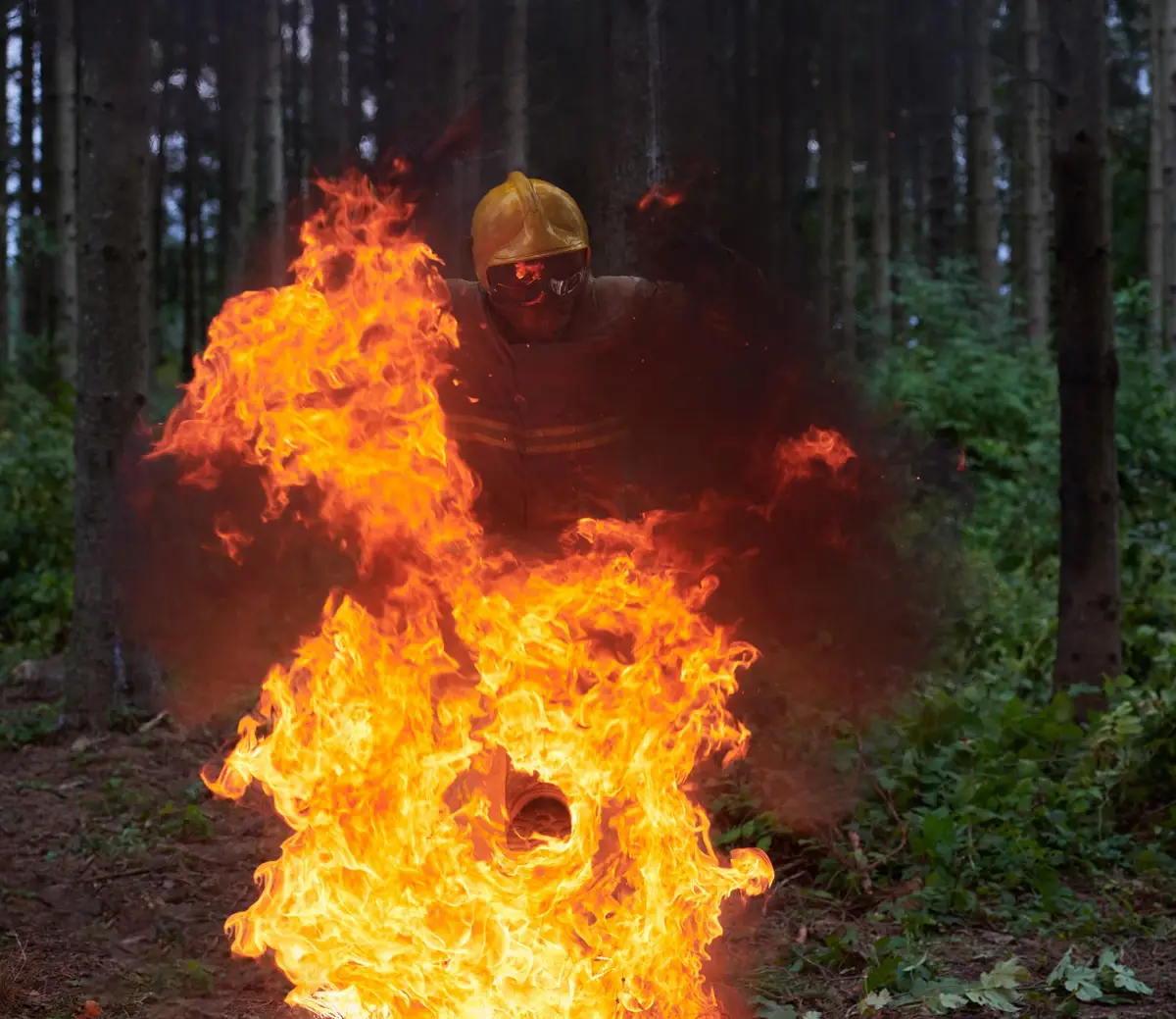 feu flamme incendie foret securite