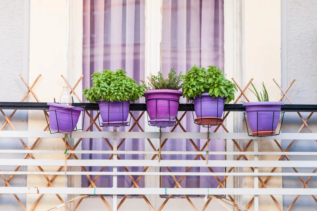 balcon urbain, deco balcon, plantes balcon