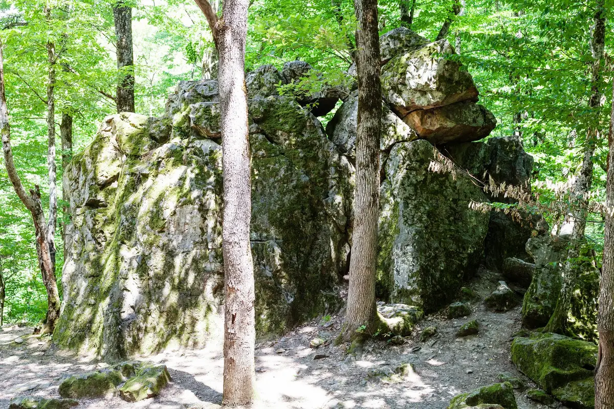 chateau de fontainebleau, foret, escalade blocs