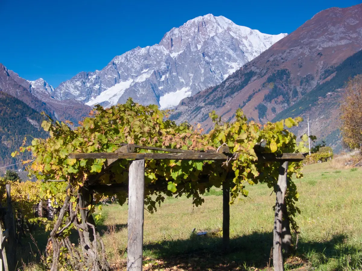 valais montagnes cervin vignobles rhone